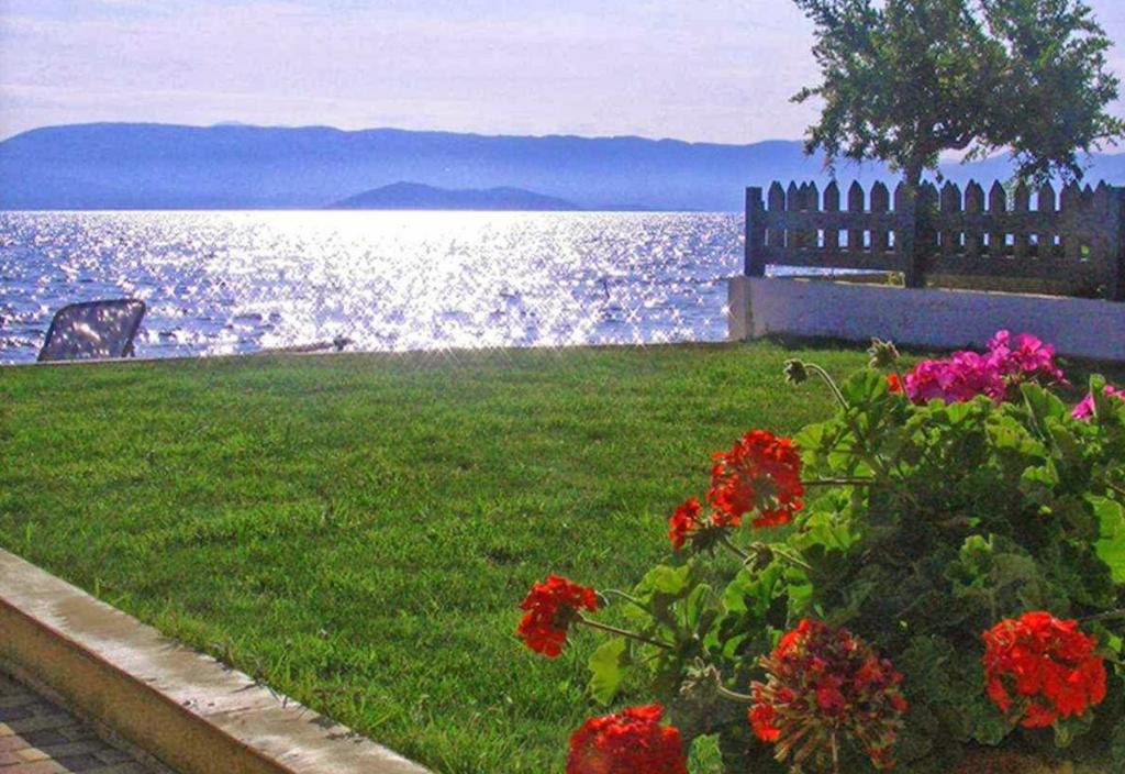 Hotel Finata Studios, Griechenland, Kávos. Großes 1